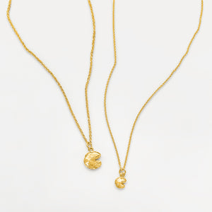 Mini and Super Mini Fortune Cookie Gift Set - Gold